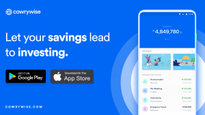 cowrywise savings and investing app