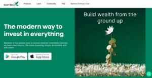 bamboo investment app